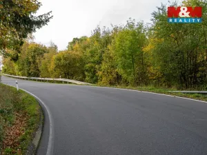 Prodej lesa, Kosov, 467 m2