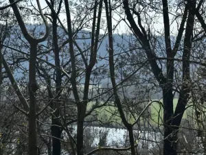 Prodej chaty, Černošice, 41 m2