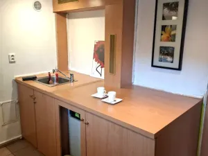 Pronájem bytu 1+1, Rychvald, U Stružky, 36 m2