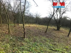 Prodej zahrady, Postoloprty - Mradice, 782 m2