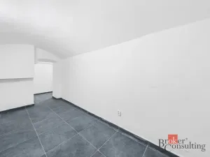 Pronájem - jiné, Plzeň - Jižní Předměstí, Husova, 110 m2