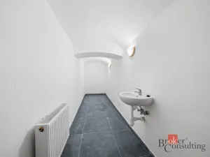 Pronájem - jiné, Plzeň - Jižní Předměstí, Husova, 110 m2