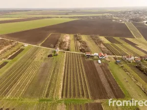 Prodej pozemku pro bydlení, Moravský Žižkov, 1593 m2