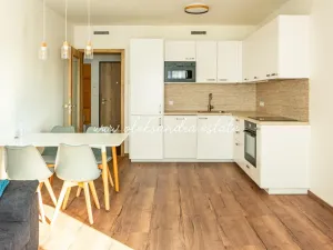 Pronájem bytu 2+kk, Praha - Vysočany, Střídavá, 52 m2