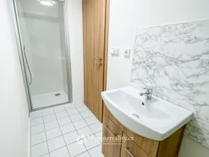 Pronájem bytu 4+kk, Znojmo, I. P. Pavlova, 110 m2