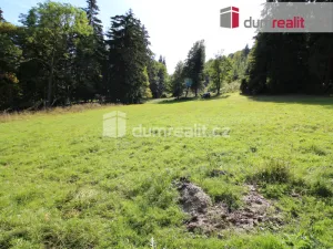 Prodej pozemku pro bydlení, Merklín - Pstruží, 4233 m2