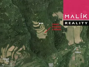 Prodej louky, Stráž nad Ohří, 308543 m2