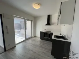 Pronájem bytu 2+kk, Hodonín, Havlíčkova, 40 m2