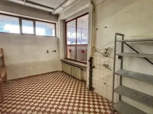 Pronájem obchodního prostoru, Klatovy, Zahradní, 430 m2