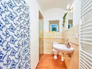 Prodej rodinného domu, Černá v Pošumaví, 330 m2