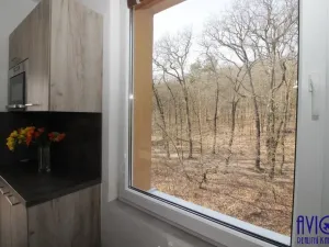 Pronájem bytu 2+kk, Praha - Kobylisy, Jelínkova, 47 m2