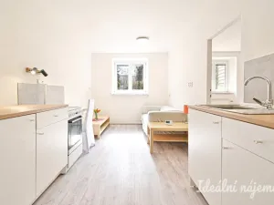 Pronájem bytu 2+kk, Brno, Berkova, 41 m2