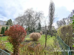 Pronájem bytu 2+kk, Brno, Berkova, 41 m2