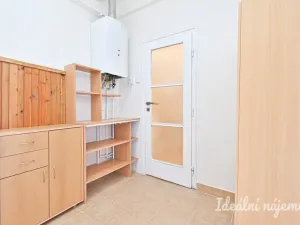 Pronájem bytu 2+kk, Brno - Královo Pole, Berkova, 41 m2