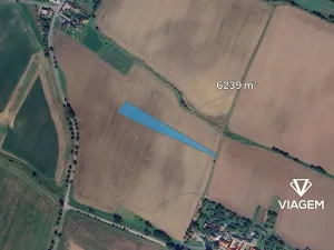 Prodej pole, Bezděčí u Trnávky, 6239 m2