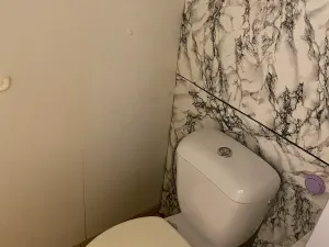 Prodej bytu 2+kk, Teplice, Pražská, 40 m2