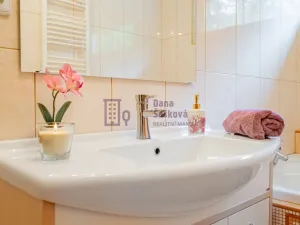 Prodej rodinného domu, Dačice - Bílkov, 313 m2