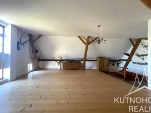 Pronájem chalupy, Čestín, 350 m2