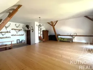 Pronájem chalupy, Čestín, 350 m2