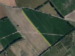 Prodej pole, Mikulčice, 8312 m2