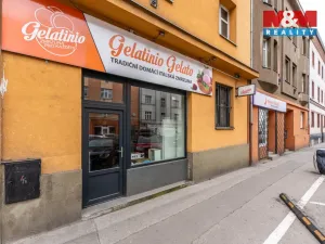 Pronájem obchodního prostoru, Praha - Vysočany, Novovysočanská, 48 m2