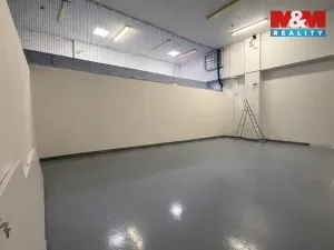 Pronájem skladu, Praha - Strašnice, K Červenému dvoru, 22 m2