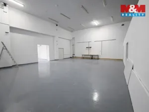 Pronájem skladu, Praha - Strašnice, K Červenému dvoru, 42 m2