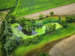 Prodej zemědělského objektu, Běrunice, 600 m2