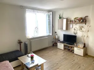 Prodej bytu 2+kk, Bzová, 42 m2