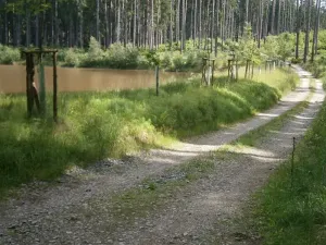Pronájem rybníku, Sklené nad Oslavou, 10645 m2