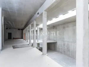 Prodej komerční nemovitosti, Praha, Davídkova, 814 m2