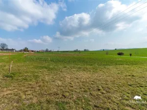 Prodej pozemku pro bydlení, Čermná, 894 m2