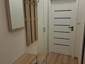 Pronájem bytu 1+1, Olomouc, Wolkerova, 39 m2