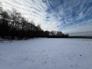 Prodej louky, Bruzovice, 94427 m2