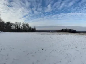 Prodej louky, Bruzovice, 94427 m2