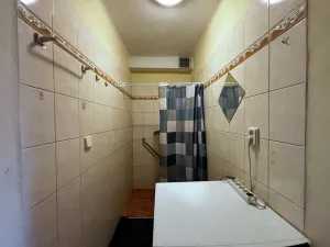 Prodej bytu 5+1, Branice, 254 m2