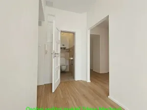 Pronájem bytu 1+1, Praha - Vinohrady, Písecká, 52 m2