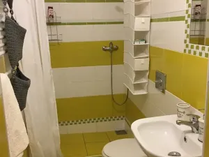 Prodej ubytování, Olomouc, Rejskova, 154 m2