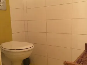 Prodej ubytování, Olomouc, Rejskova, 154 m2