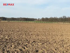 Prodej sadu/vinice, Nové Dvory, 9979 m2