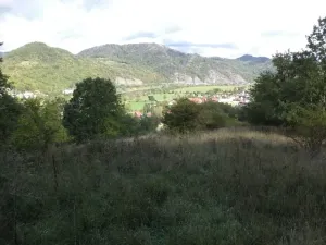 Dražba louky, Malé Březno, 14517 m2