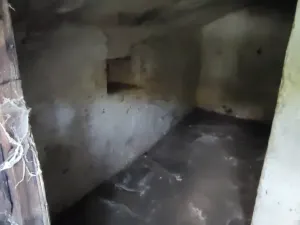 Dražba - jiné, Brumov-Bylnice, 29 m2