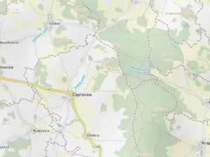 Prodej lesa, Čepřovice, 1644 m2