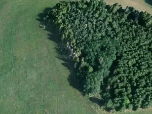 Prodej lesa, Čepřovice, 1644 m2