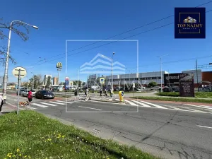 Pronájem skladu, Ostrava, Novinářská, 207 m2