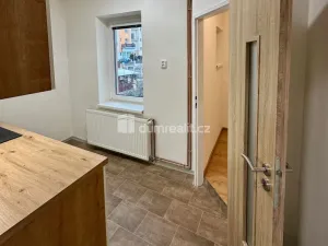 Pronájem bytu 1+1, Děčín - Děčín II-Nové Město, Lipová, 36 m2