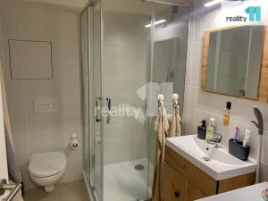 Pronájem bytu 1+kk, Plzeň - Valcha, K Zelené louce, 30 m2