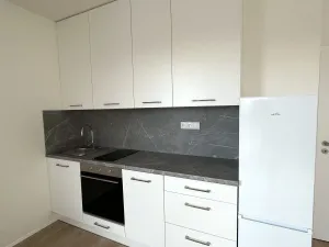 Pronájem bytu 1+kk, České Budějovice - České Budějovice 5, Dobrovodská, 41 m2