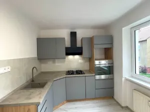 Pronájem bytu 1+1, Litvínov, Horská, 30 m2