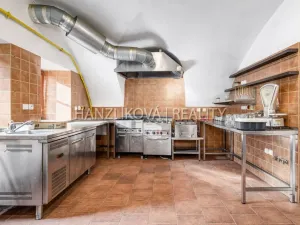 Prodej vícegeneračního domu, Chlum u Třeboně, Hejtmanská hráz, 1253 m2